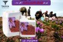 کود زعفران.Saffron fertilizer.قیمت کود زعفران.کود زعفران تهران زیر قیمت