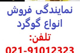 گوگرد فروشی در گیلان و رشت - قیمت گوگرد 