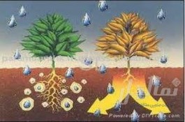 تحولی نو در صنعت آبیاری کشاورزی  (یکبار آبیاری برای چند هفته )