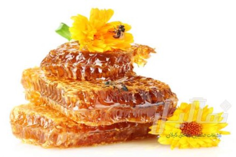 دوره ی زنبور داری با شرایط ویژه 