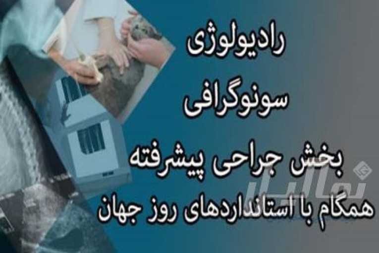 پلی کلینیک دامپزشکی آهو رشت