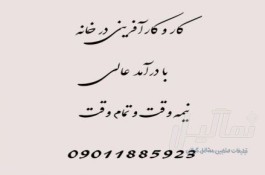 همکاری در نمایندگی