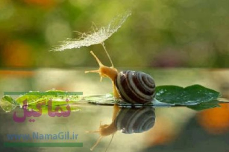 جزوات شیمی پارسه سنجش تکمیلی و قلم چی سالهای اخیرزیر قیمت