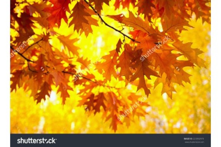 کلینیک معماری و تزیینات داخلی آرک دکو