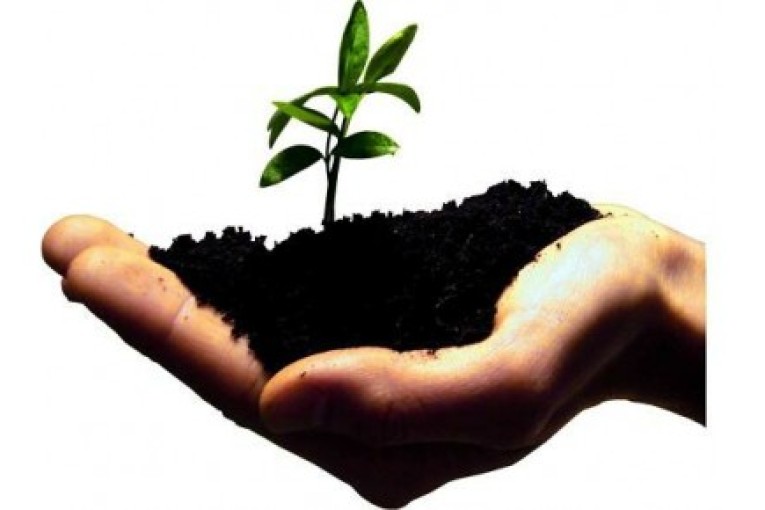 دعوت به همکاری