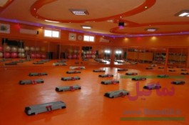 باشگاه ورزشی نگین منظریه 