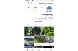گردشگری ومسافربری ققنوس